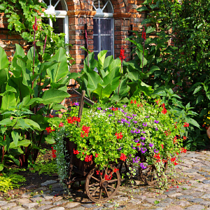 Bauerngarten mit vielen bunt blühenden Blumen