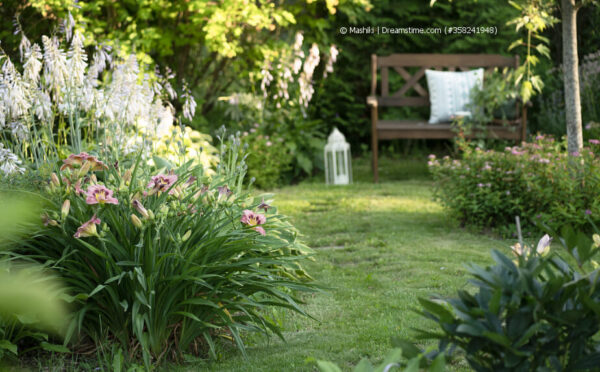 Das Jahreszeitenbeet im Garten: Farbenpracht das ganze Jahr über